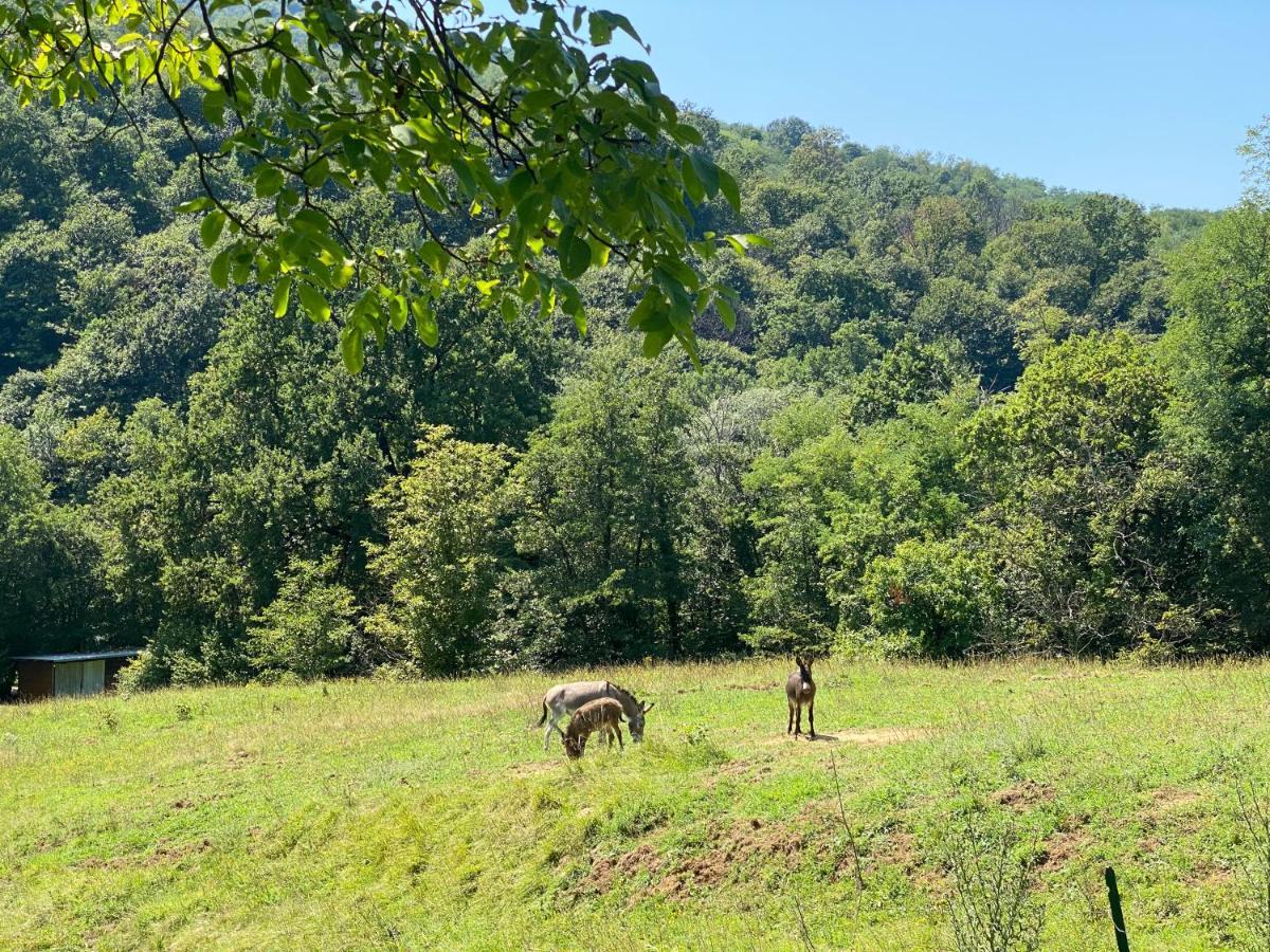 Agriturismo Grammelot Sarnico Dış mekan fotoğraf