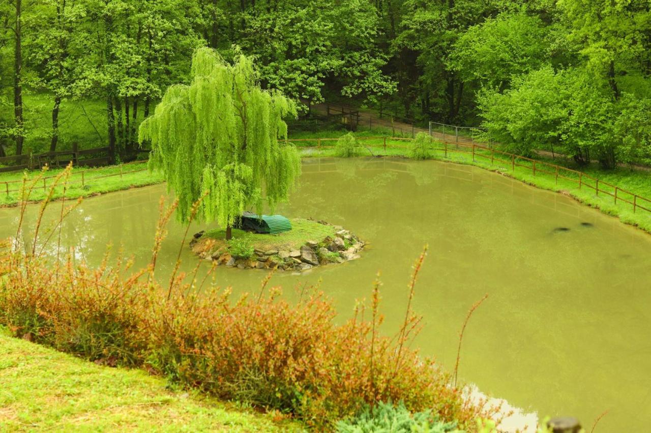 Agriturismo Grammelot Sarnico Dış mekan fotoğraf